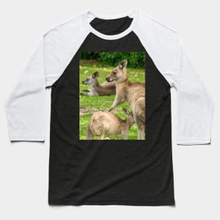 Mother Eastern Grey Kangaroo feeding Joey Baseball T-Shirt